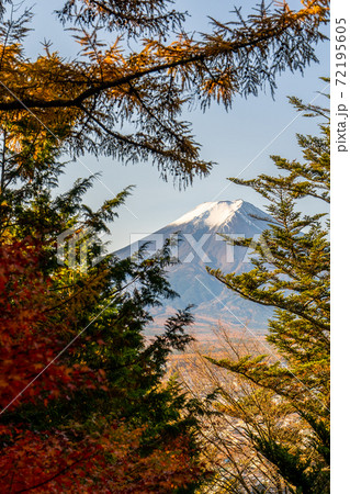 【山梨県】　富士山　新倉山 浅間公園 　紅葉　1 72195605
