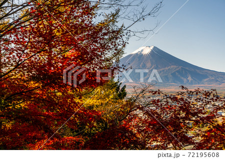 【山梨県】　富士山　新倉山 浅間公園 　紅葉　1 72195608