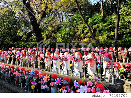 増上寺の千躰子育地蔵尊が並んでいる風景 72195702