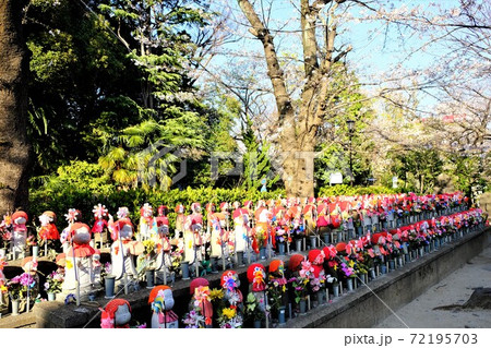 増上寺の千躰子育地蔵尊が並んでいる風景 72195703
