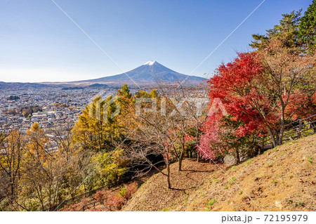 【山梨県】　富士山　新倉山 浅間公園 　紅葉 72195979