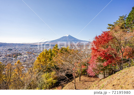 【山梨県】　富士山　新倉山 浅間公園 　紅葉 72195980