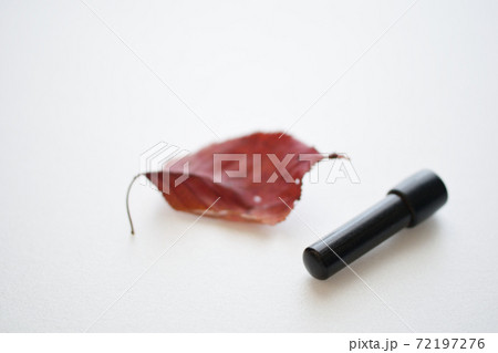 印鑑廃止、ハンコ禁止か？　議論が盛んな印鑑、落ち葉と一緒に。 72197276