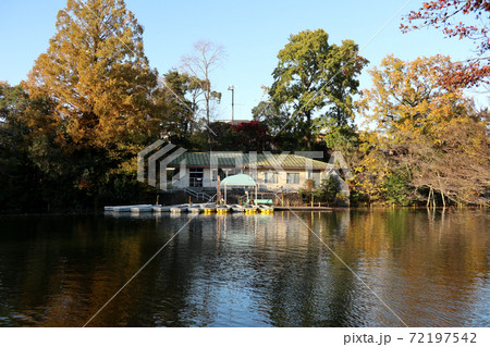 秋の武蔵関公園 (東京 練馬区・西東京市) 秋の武蔵関公園 (東京 練馬区・西東京市) 72197542