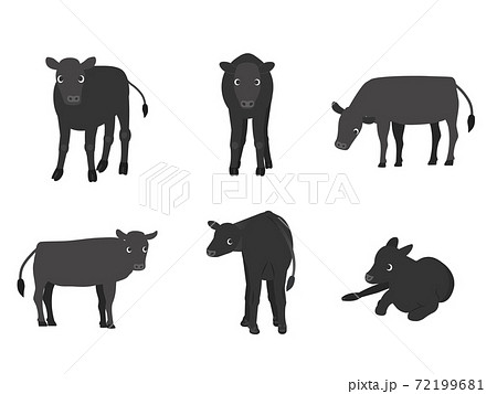 子牛 和牛 向きバリエーションセット 子牛 和牛 向きバリエーションセット 72199681
