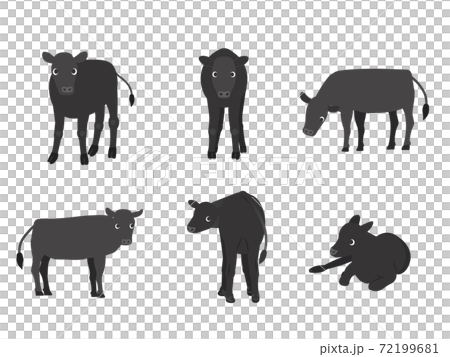 子牛 和牛 向きバリエーションセット 子牛 和牛 向きバリエーションセット 72199681
