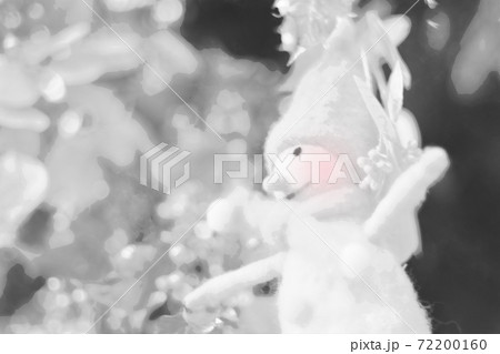 フェルトで作られた雪だるまのクリスマスオーナメント　白黒　水彩画風 72200160