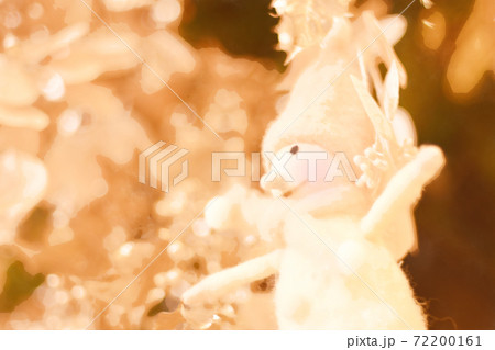 フェルトで作られた雪だるまのクリスマスオーナメント　電球色　水彩画風 72200161