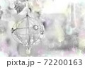 球体の綺麗なクリスマスオーナメント　白黒ベース　水彩画風 72200163