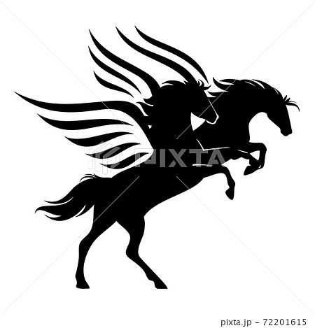 pair of winged pegasus horses black and white vector outline 72201615