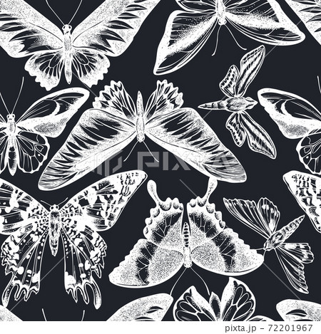Seamless pattern with hand drawn chalk wallace s golden birdwing, ambulyx moth, white-banded hunter Seamless pattern with hand drawn chalk wallace s golden birdwing, ambulyx moth, white-banded hunter 72201967