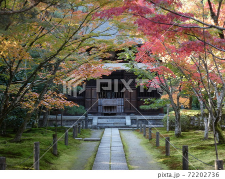 本堂につづく紅葉の道 72202736