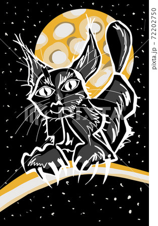Hand Drawn Black Cat At Night Isolated On Blackのイラスト素材