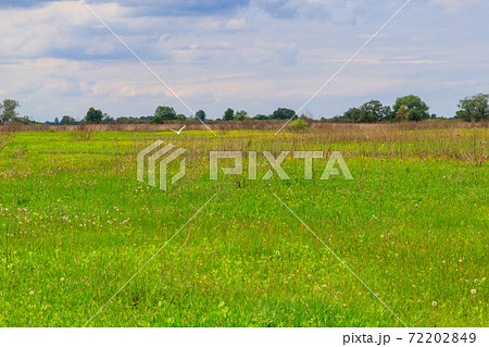 Spring landscape with green meadow, sky and trees Spring landscape with green meadow, sky and trees 72202849