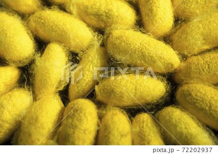 CAMBODIA PHNOM PENH SILK ISALND PRODUCTION CAMBODIA PHNOM PENH SILK ISALND PRODUCTION 72202937