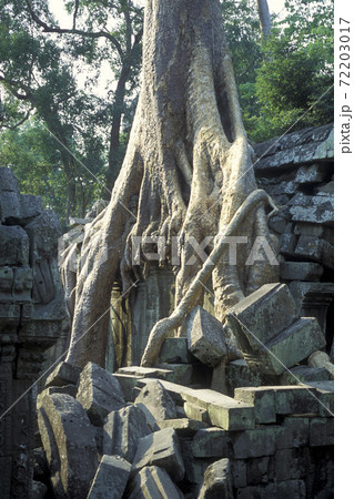 CAMBODIA SIEM REAP ANGKOR PREAH KHAN TEMPLE CAMBODIA SIEM REAP ANGKOR PREAH KHAN TEMPLE 72203017
