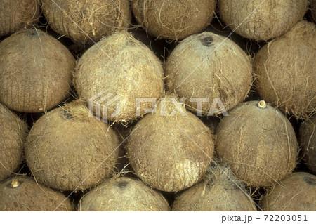 CAMBODIA PHNOM PENH CENTRAL MARKET FOOD CAMBODIA PHNOM PENH CENTRAL MARKET FOOD 72203051