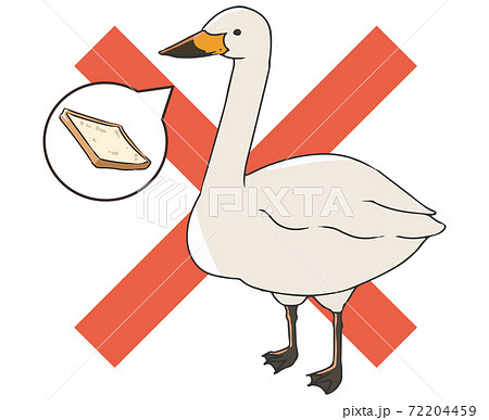 オオハクチョウ 餌やり禁止のイラスト素材