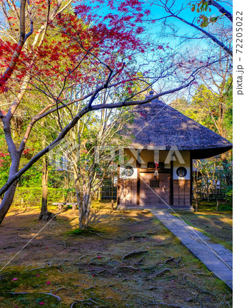 紅葉と戴渓堂（縦） 72205022