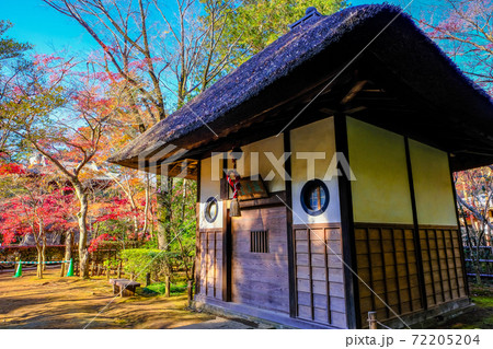 戴渓堂と紅葉 戴渓堂と紅葉 72205204