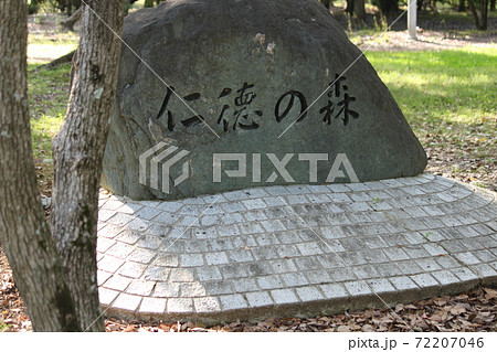 堺市大仙公園 堺市大仙公園 72207046