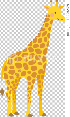 Giraffe Cute Illustration Stock Illustration