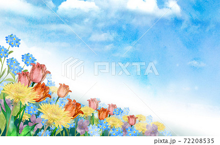 春の花畑の風景 水彩イラストのイラスト素材