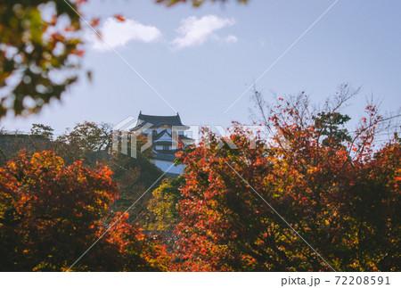 国宝、彦根城と紅葉の風景 72208591