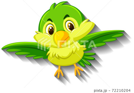 Cute green bird cartoon character Cute green bird cartoon character 72210204