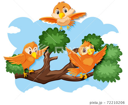 Happy bird flying in nature 72210206