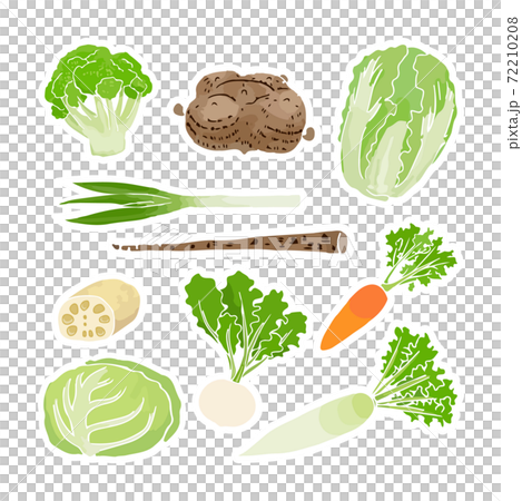 Winter vegetable set Winter vegetable set 72210208