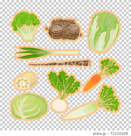 Winter vegetable set Winter vegetable set 72210209