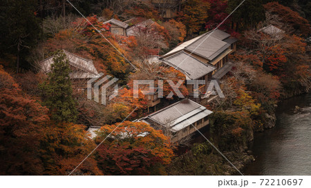 京都府 嵐山公園亀山地区展望台 紅葉 京都府 嵐山公園亀山地区展望台 紅葉 72210697