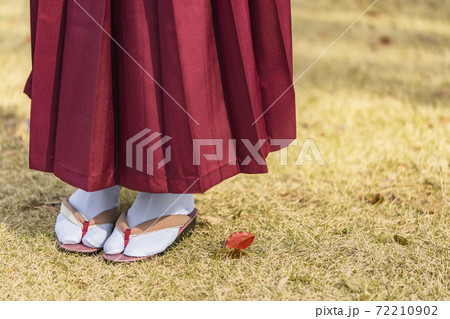 [東京] 秋の芝生で濃紅色の袴と下駄を着た女性の足のクローズアップ。　  72210902