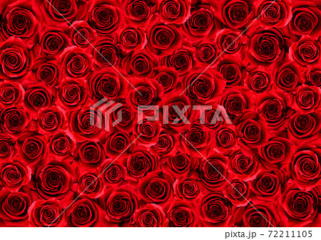 真っ赤な薔薇の花いっぱいの背景アートの写真素材