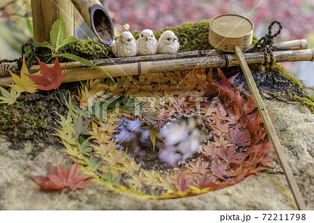 【秋】柳谷観音の花手水 【秋】柳谷観音の花手水 72211798