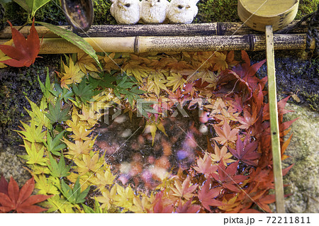 【秋】柳谷観音の花手水 【秋】柳谷観音の花手水 72211811