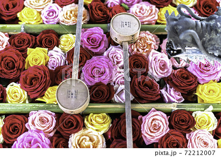 【秋】柳谷観音 花手水 【秋】柳谷観音 花手水 72212007