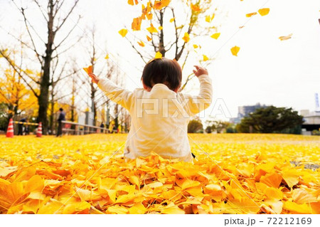 黄色い銀杏の落ち葉で遊ぶ赤ちゃんの写真素材