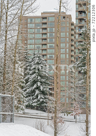 High-rise residential building on bright winter day High-rise residential building on bright winter day 72212306