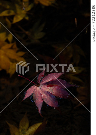 水面に落ちた紅葉と秋の終わりのイメージ 72212386