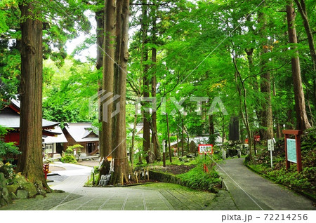 富士山東口本宮・須走口登山道　冨士浅間神社の裏参道 72214256