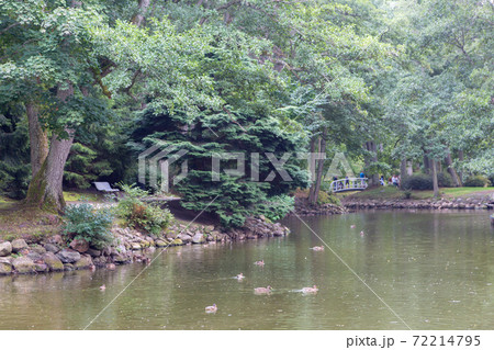 Palanga Botanical Park pond in summer midday Palanga Botanical Park pond in summer midday 72214795