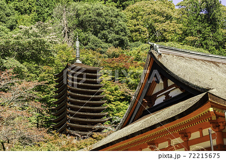 談山神社 十三重塔 奈良県桜井市 談山神社 十三重塔 奈良県桜井市 72215675
