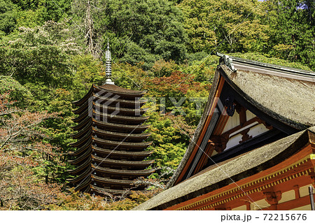 談山神社　十三重塔　奈良県桜井市 72215676