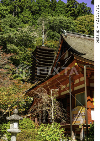 談山神社　十三重塔　奈良県桜井市 72215721