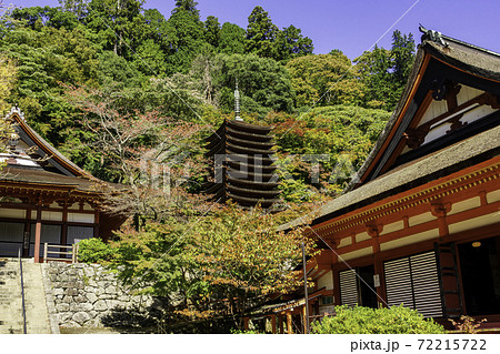 談山神社 十三重塔 奈良県桜井市 談山神社 十三重塔 奈良県桜井市 72215722