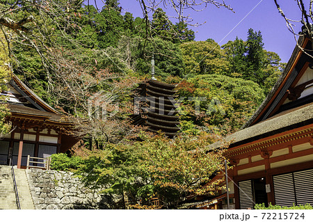 談山神社 十三重塔 奈良県桜井市 談山神社 十三重塔 奈良県桜井市 72215724