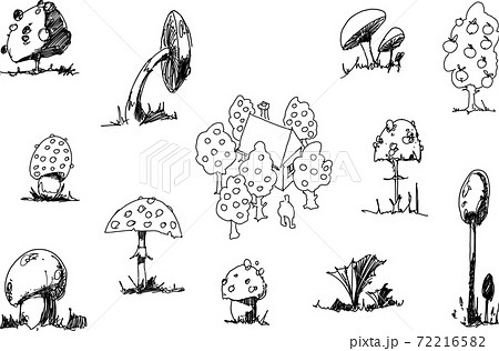 many hand drawn fantastic sketches of mushrooms and plants many hand drawn fantastic sketches of mushrooms and plants 72216582