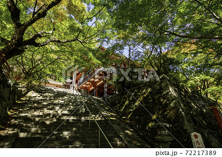 談山神社 拝殿 奈良県桜井市 談山神社 拝殿 奈良県桜井市 72217389